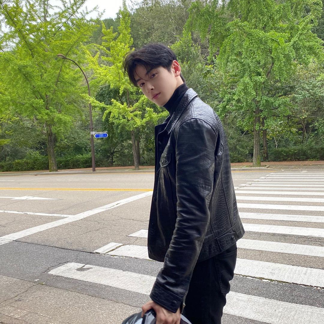 street style cha eun woo outfit