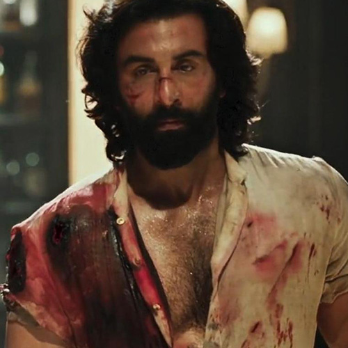 Ranbir Kapoor (Animal)