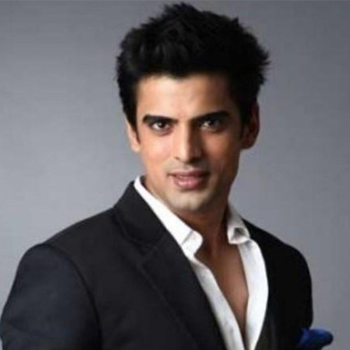 Mohit Malik (Baatein Kuch Ankahee See)