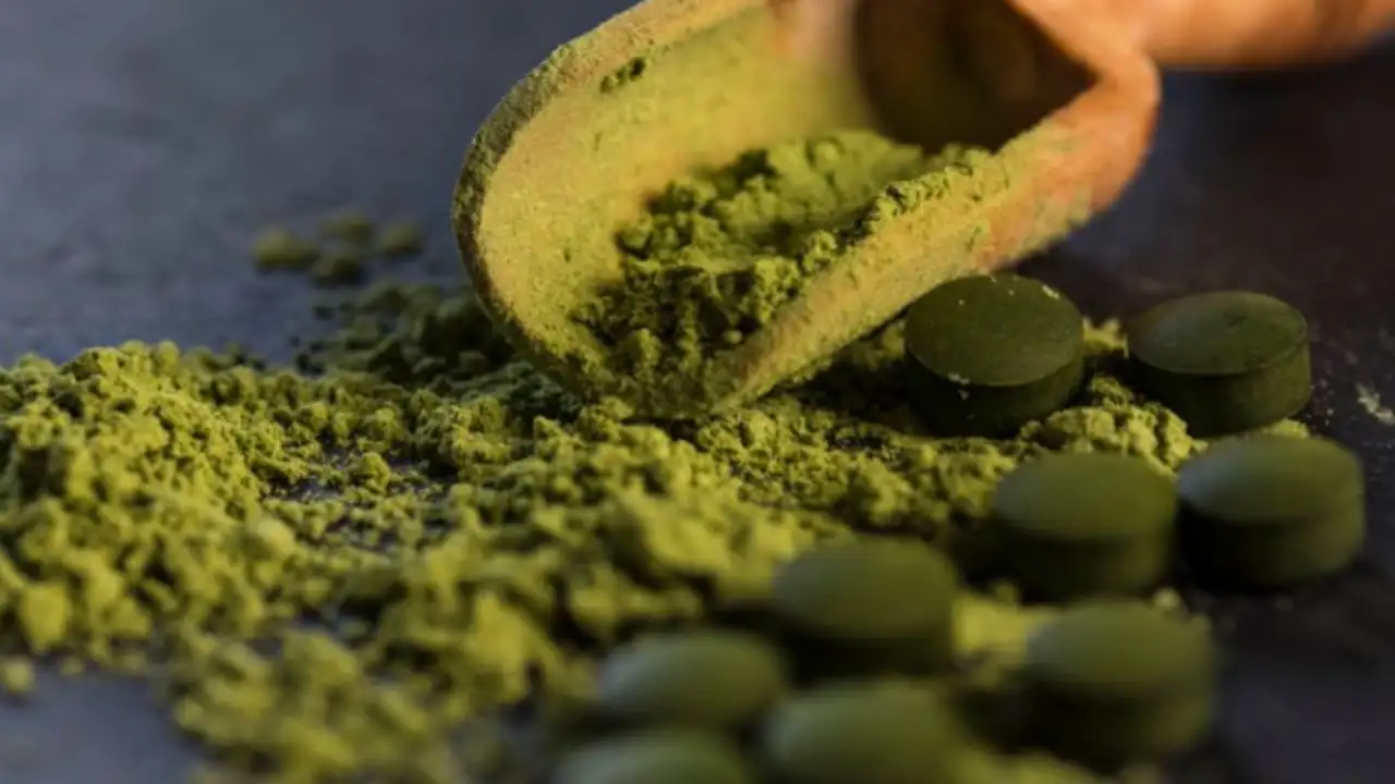 What are the benefits of spirulina and how it should be taken? Top benefits of spirulina