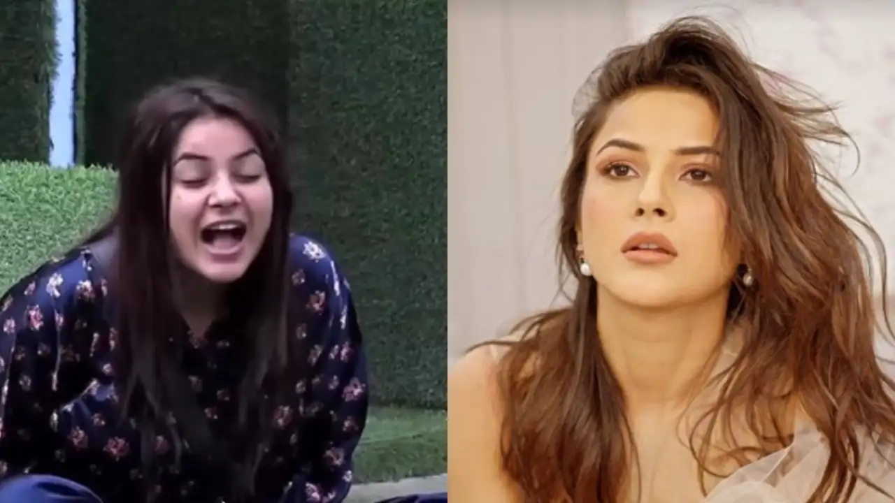 Shehnaaz in Bigg Boss 13 Shehnaaz in Bigg Boss 13