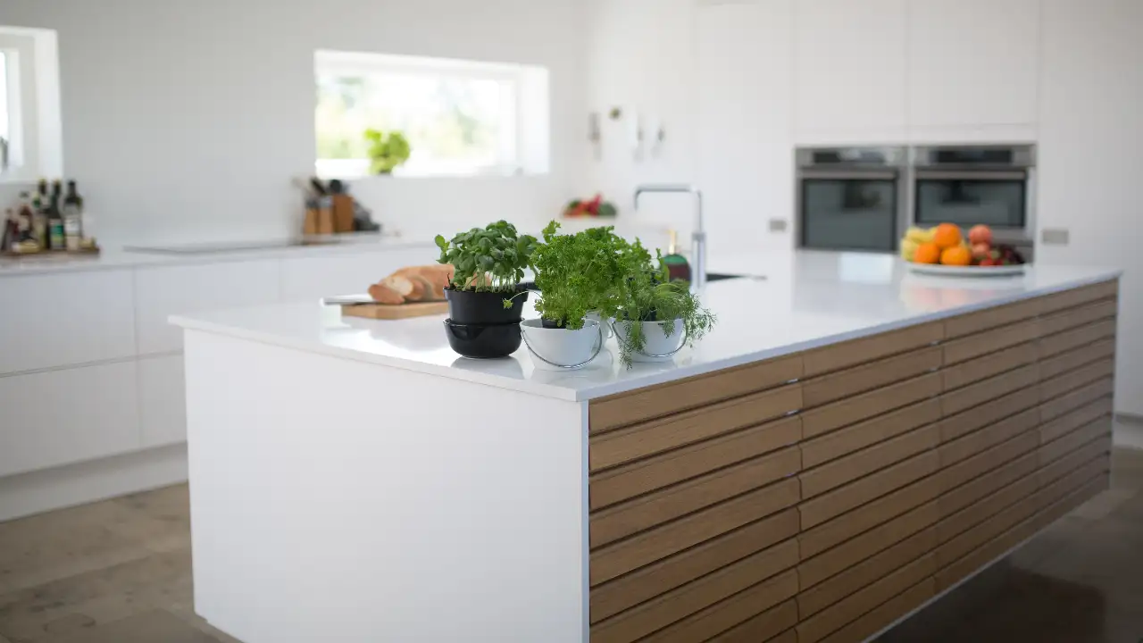 Nature-inspired kitchen