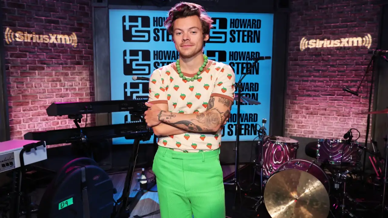 Harry Styles - Songs, Age & Facts