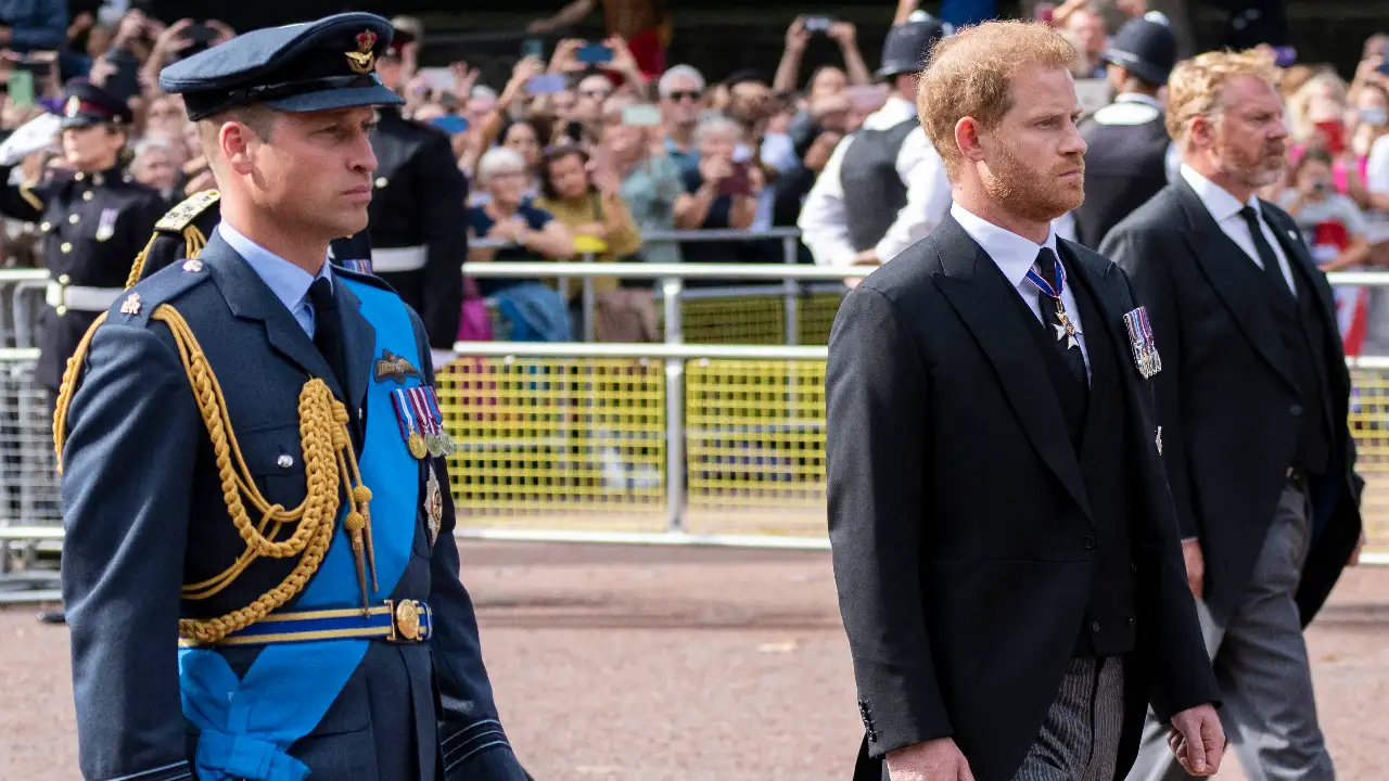 Prince Harry and Prince William reportedly understood that showing "solidarity" was the need of the hour. Getty Images