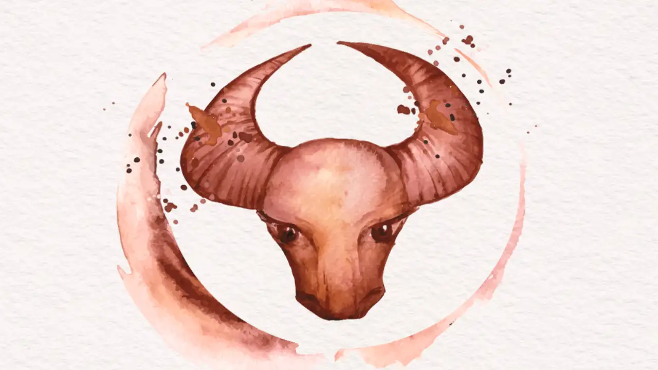 Represented by bull, Taurus is an Earth sign who loves amusing sounds, calming aromas, and scrumptious flavours. Read on to find out