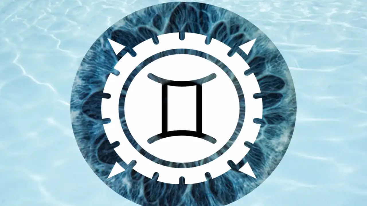 Gemini The reasons for a Gemini lagging behind in their chores are just too vague
