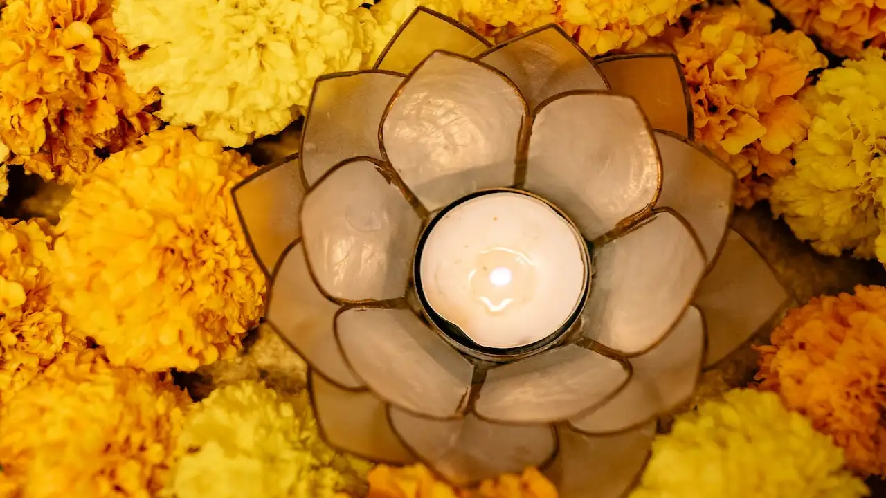 Diwali 2022: 9 Auspicious items to buy on Dhanteras for good fortune all year long Dhanteras 2022: 9 Auspicious items to buy on Dhanteras for good fortune