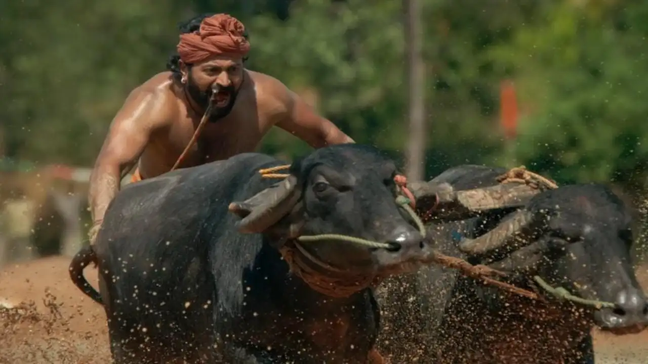 Rishab Shetty's Kantara (Hindi) is cruising towards Rs. 100 cr nett (Credit: Hombale Films YouTube channel) Rishab Shetty