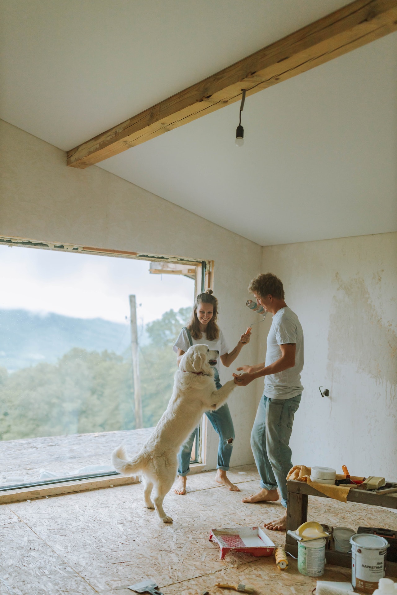 Man and woman playing with their dog while doing a renovation