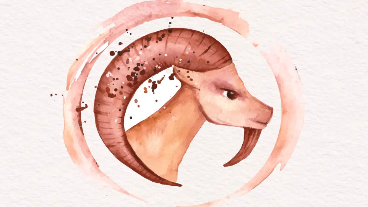 capricorn aquarius man
