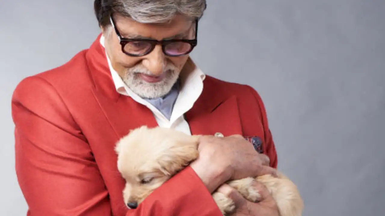 Amitabh Bachchan’s pet dog passes away; Actor shares a heartfelt post with a teary-eyed emoji