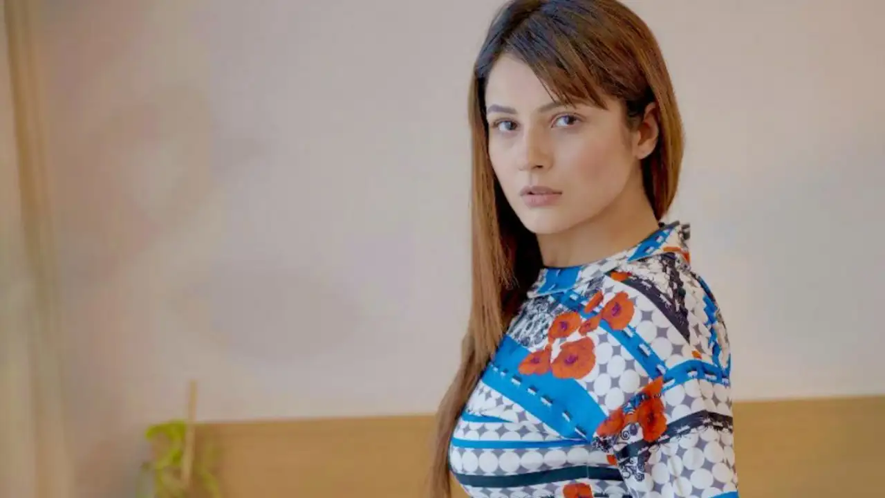 Image Source: Shehnaaz Gill Instagram Shehnaaz Gill, Shehnaaz Gill weight loss, Bigg Boss 13