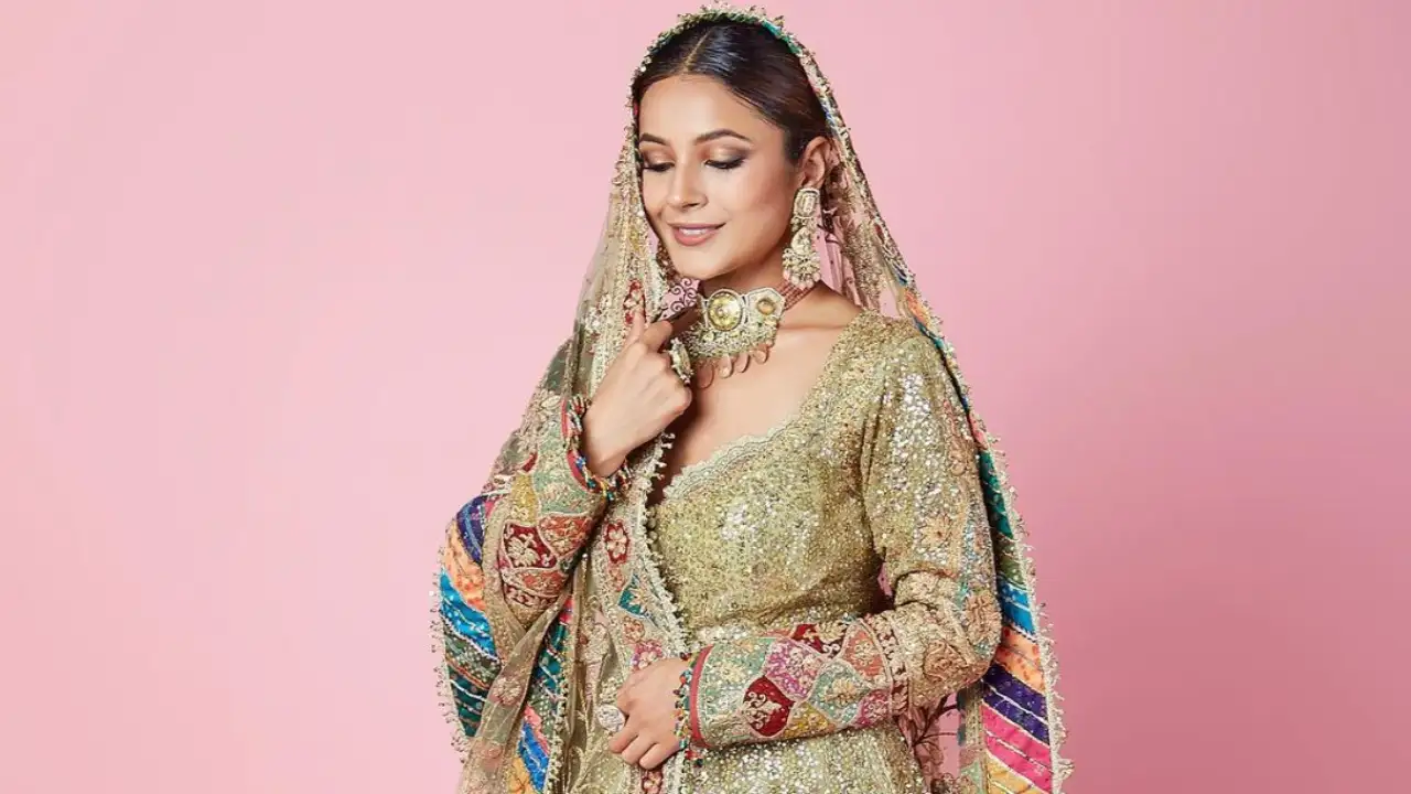 Shehnaaz Gill looks like a Queen in this attire (Pic Credit: Anand Wahane) Shehnaaz Gill