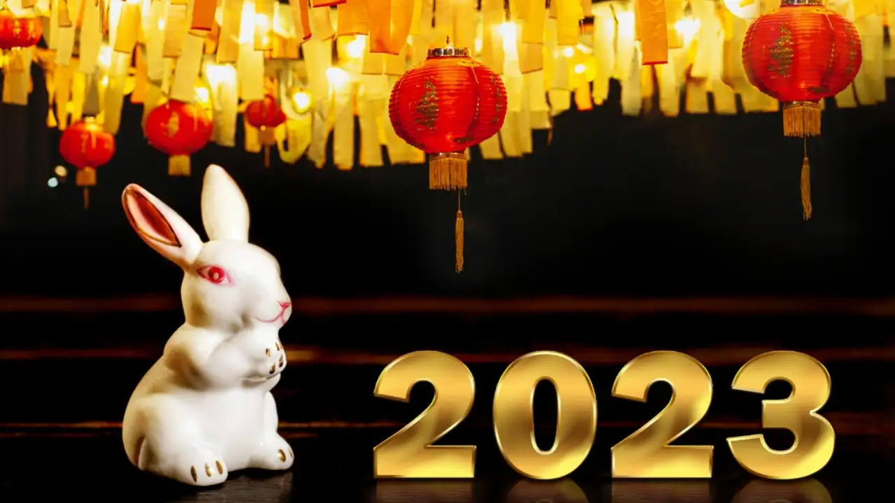 Say Hello to the First Year of Water Rabbit in This Century: What Each Animal Sign Can Expect in 2023 Say Hello to the First Year of Water Rabbit in This Century: What Each Animal Sign Can Expect in 2023