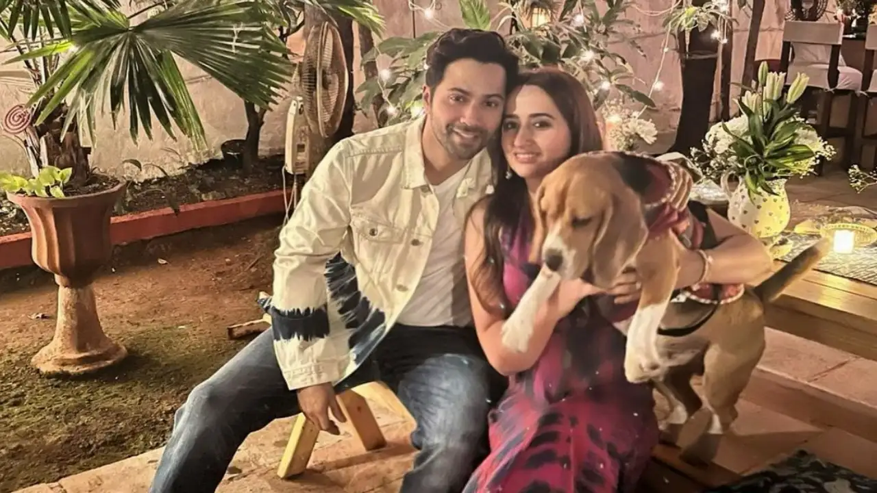 Varun Dhawan's ROFL reply after a reporter asks him about family planning: Mai apni biwi se... | PINKVILLA Varun Dhawan's ROFL reply after a reporter asks him about family planning: Mai apni biwi se... | PINKVILLA