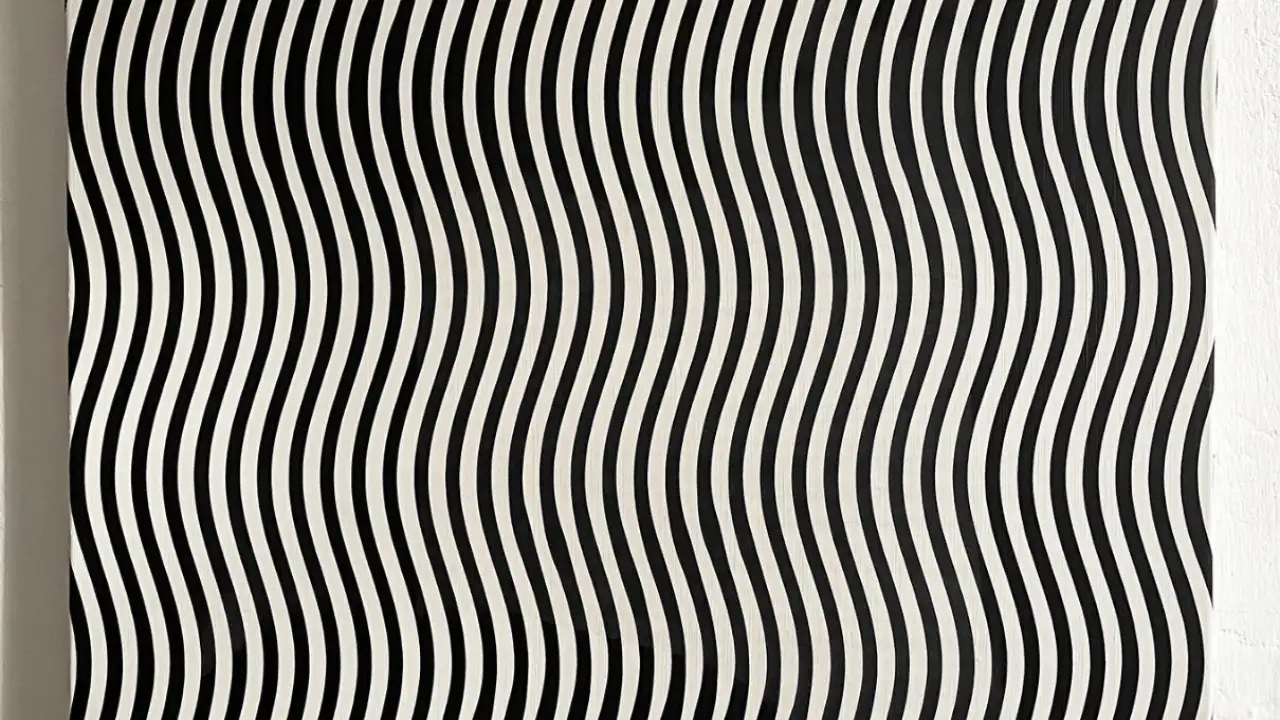 Optical Illusion Challenge: Can you spot a lady in between these black-and-white lines? Optical Illusion Challenge: Can you spot a lady in between these black-and-white lines?