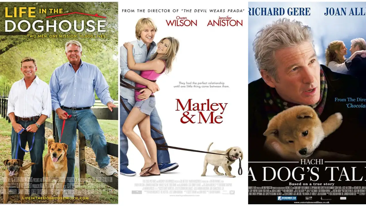 Life in the dog house, Marley and me,  Hachi: A Dog's Tale