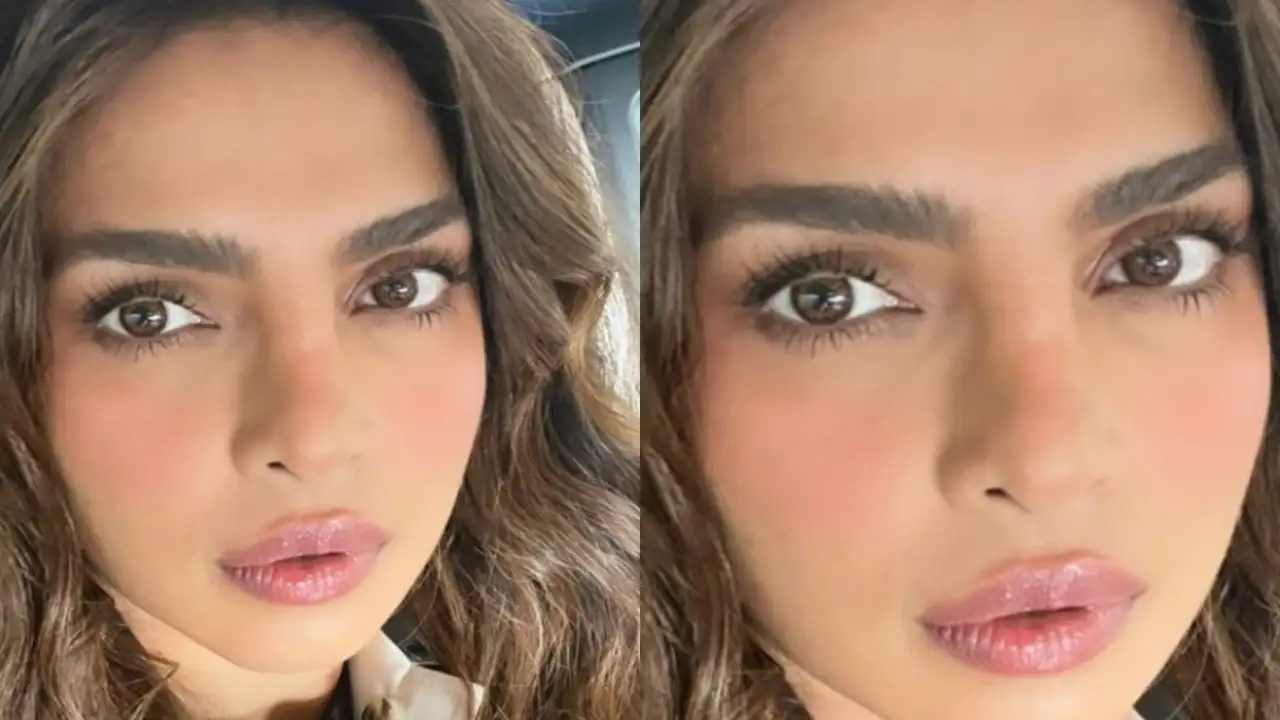 Priyanka Chopra blesses our Thursday morning with her flawless selfie; See Pic 