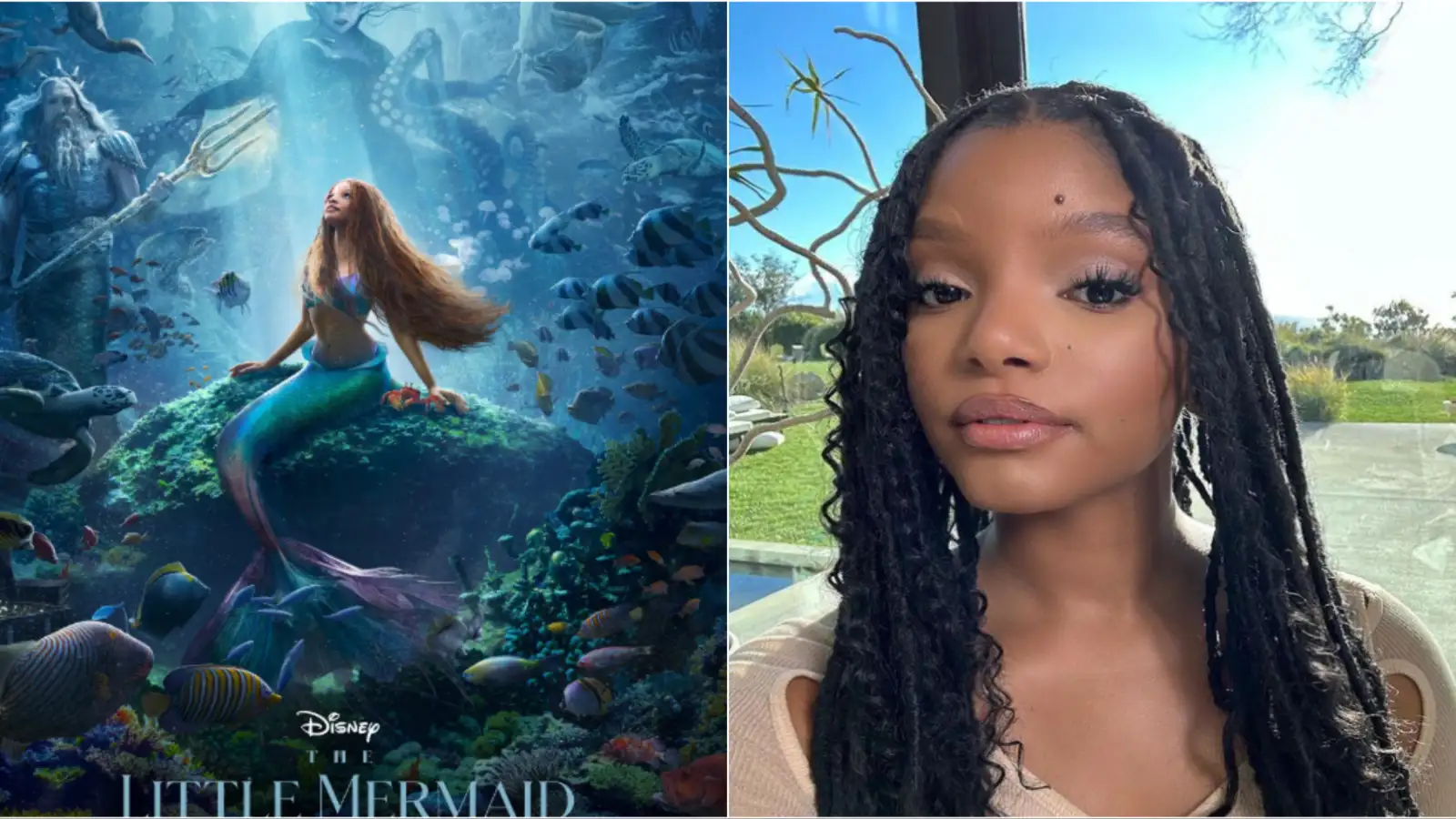 Little Mermaid: Why is Halle Bailey starrer facing a backlash with over 3  million dislikes on the trailer? | PINKVILLA