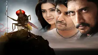 EXCLUSIVE: “Eega 2 will have greatest hype of all time; SS Rajamouli can get Hollywood technicians,” says Nani 