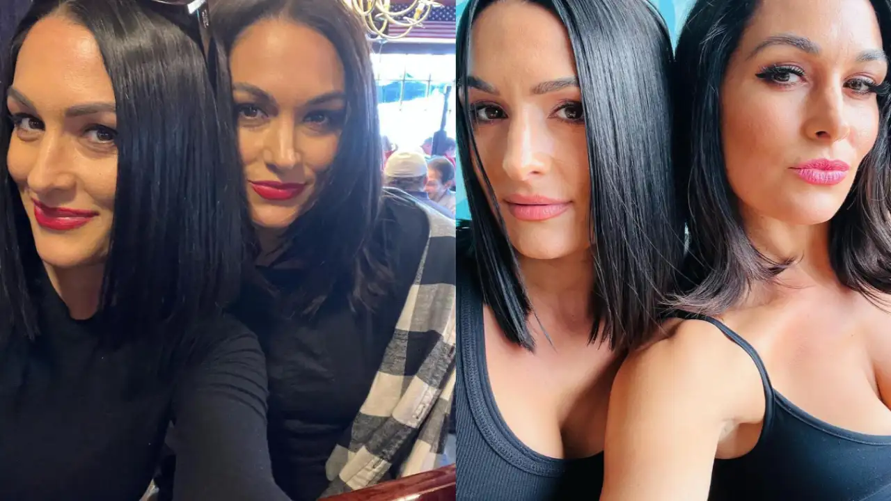 Celebrity Gossip & News  Brie Bella Confirms Nikki and John Cena