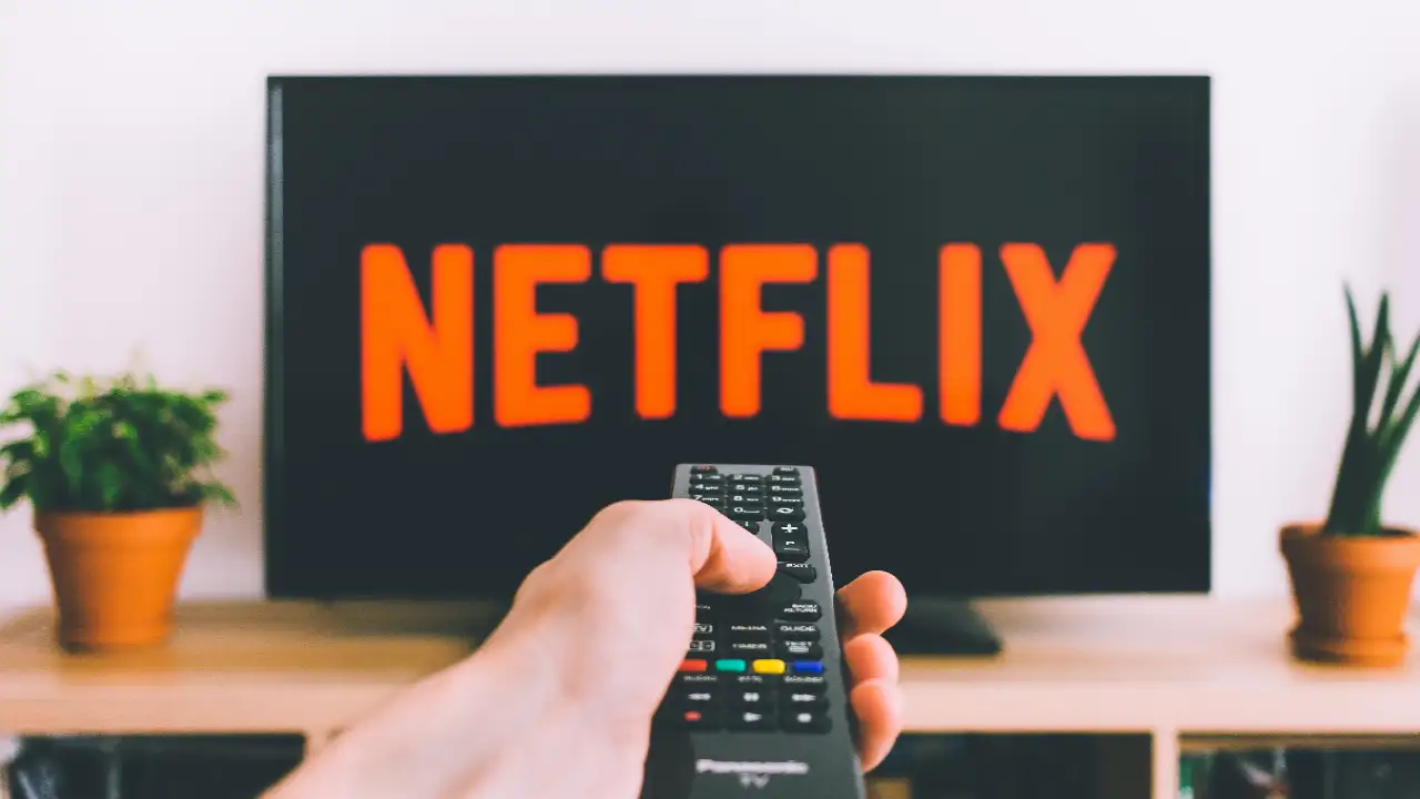 181870333 netflix