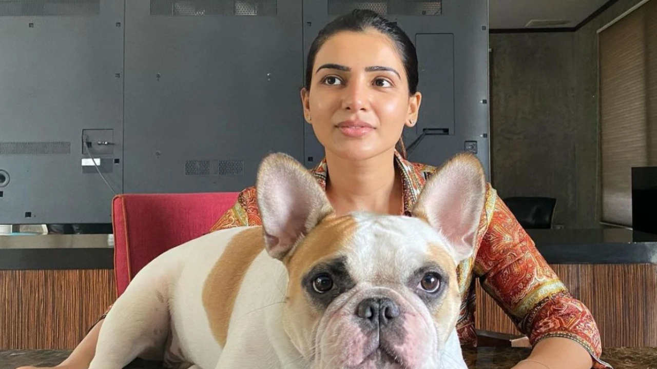 Samantha Ruth Prabhu buys plush duplex flat in Hyderabad that comes with six parking slots: Report