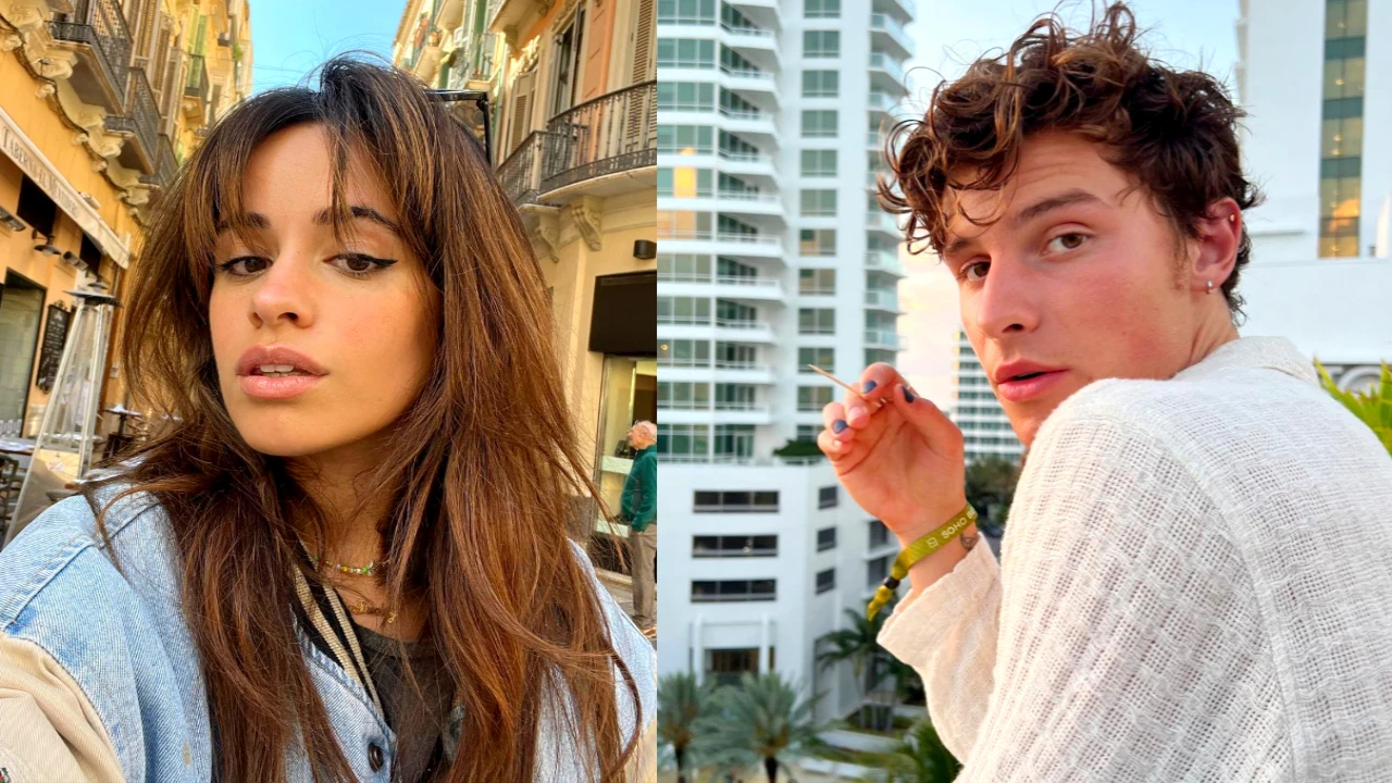 Shawn Mendes and Camila Cabello twin in black as they go shopping together amid romance rumors