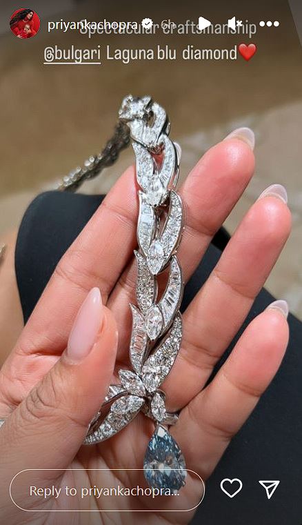 Priyanka Chopra's necklace from Met Gala