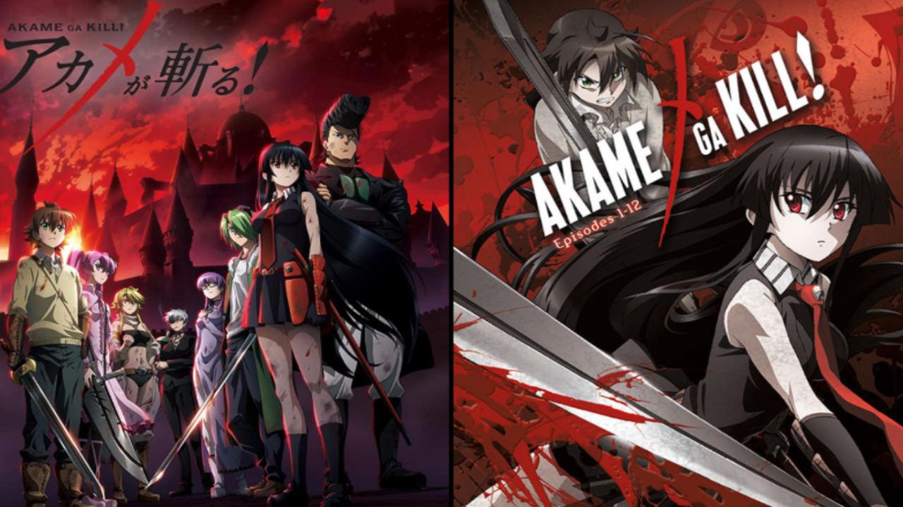 Source Material Information For Akame Ga Kill Season 2