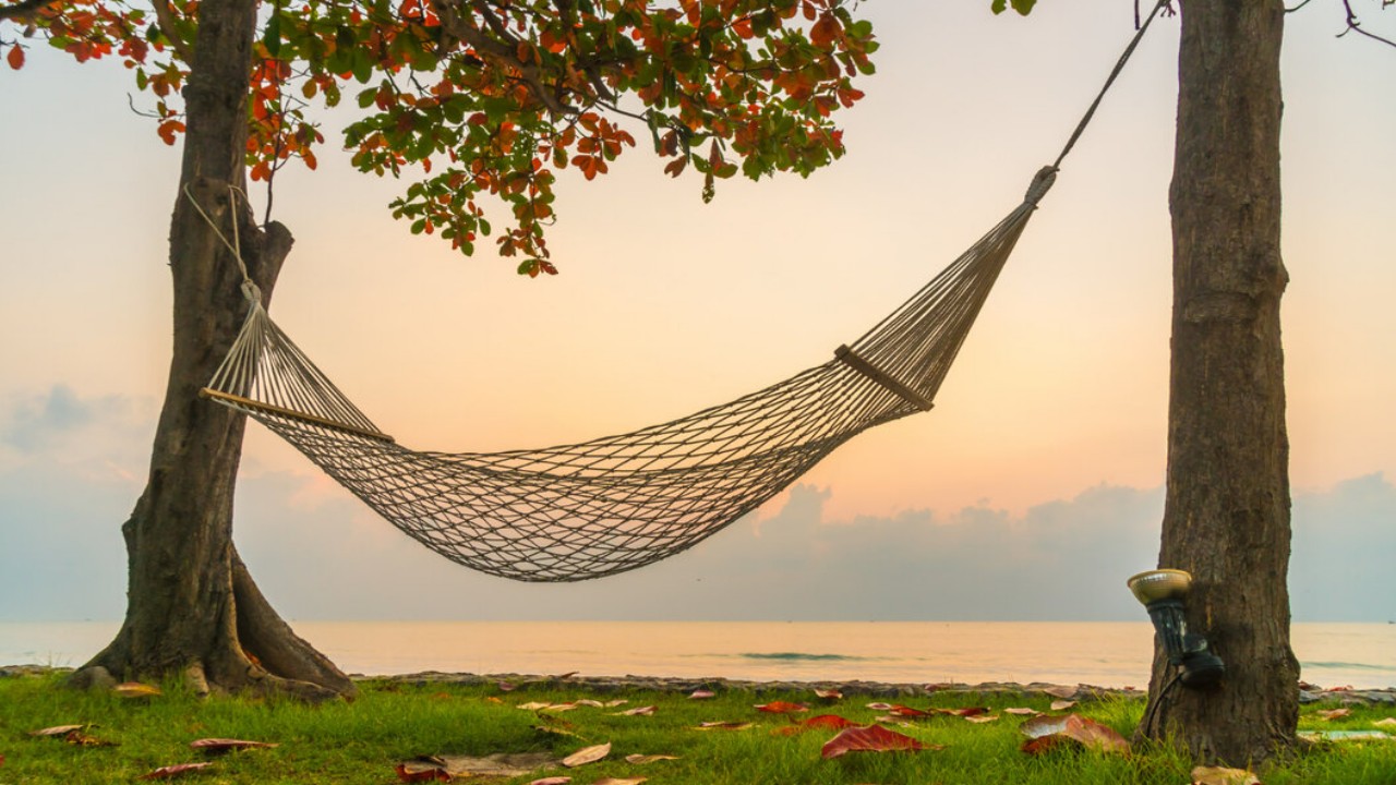 13 Best Hammocks for Comfortable And Cozy Outdoor Adventures PINKVILLA