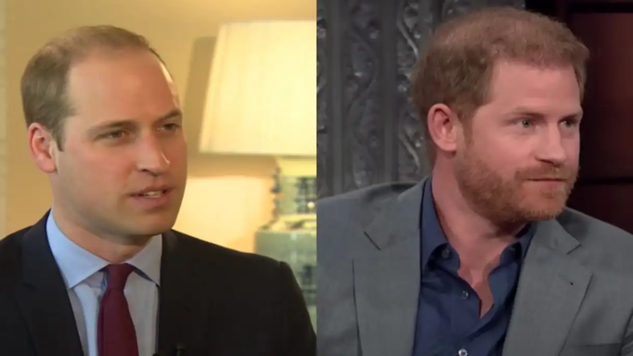 Why was the ‘sweet’ photo of Princes William and Harry removed from the National Portrait Gallery?