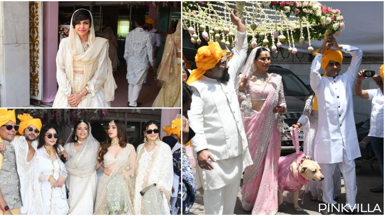 Sonnalli Seygall makes a stunning bridal entry with her pet dog;  Kartik Aryan and others arrive in style