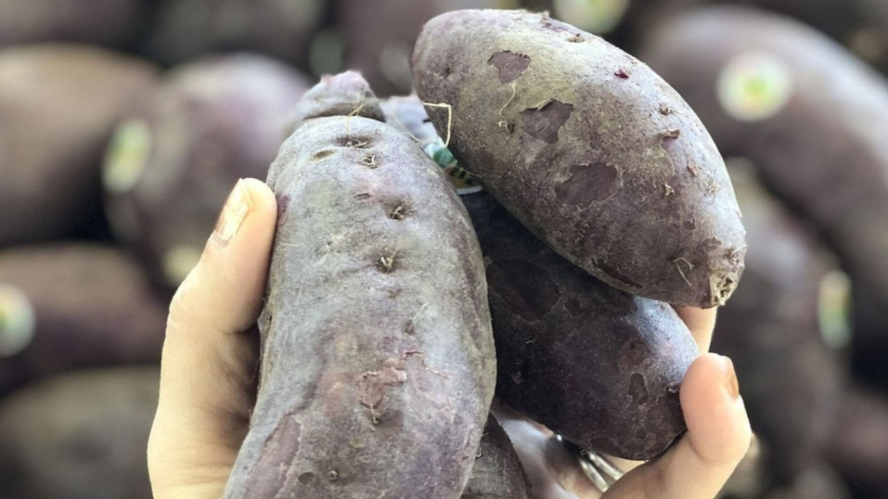 Jamaican Yam? What Is That? (With Video)