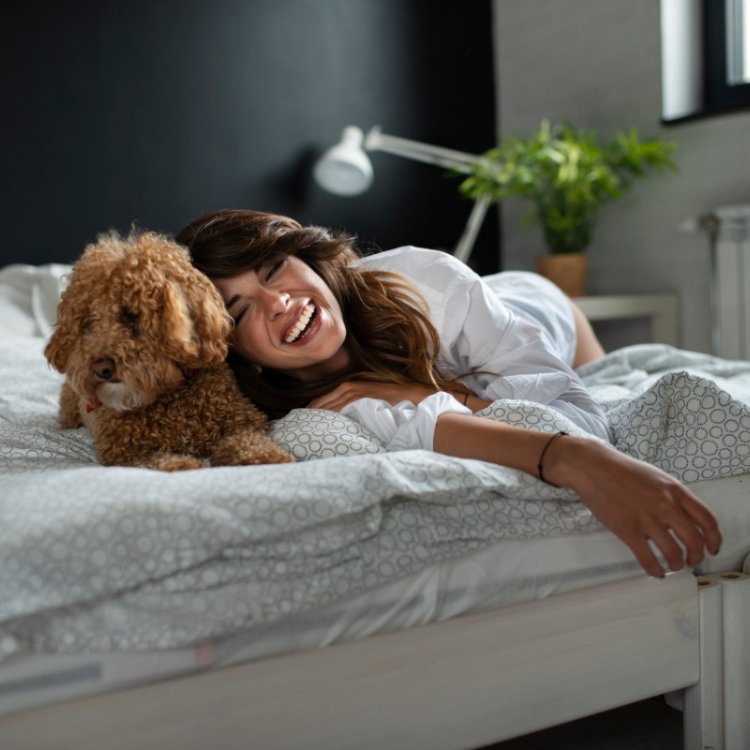 10 Things to know before adopting a dog 10 Things to know before adopting a dog