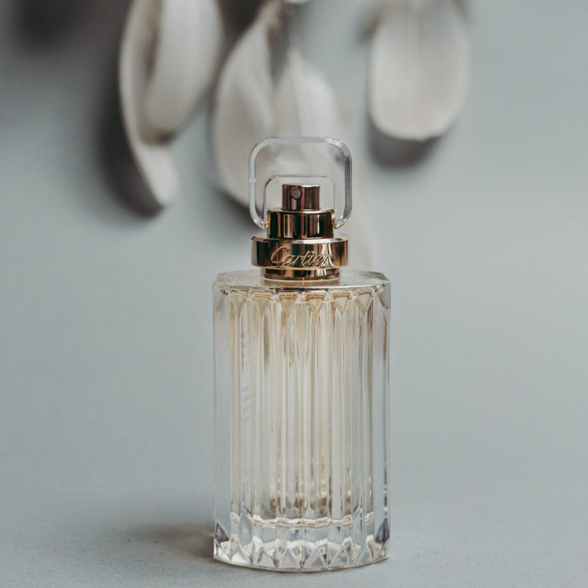 Top rated fragrances for gifting a woman