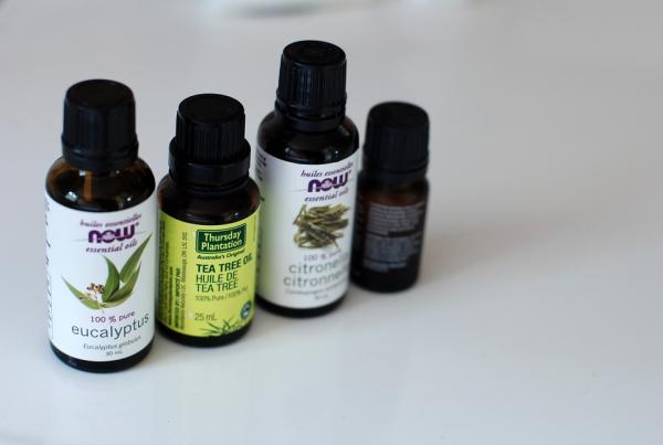 Scalp Fungus Here is What You Can Do About It  AHS UAE
