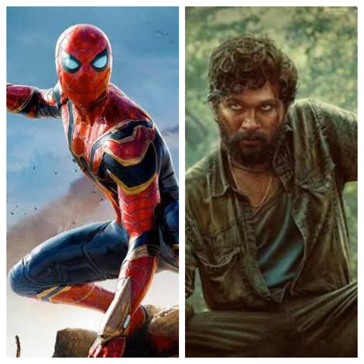 Pushpa vs Spider-Man : Kaun Banega Box Office Champion 2021?