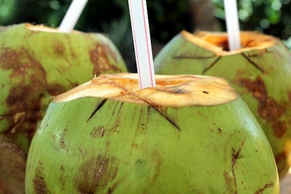Hair Care: Here's how consuming coconut water helps you with hair and health Hair Care: Here's how consuming coconut water helps you with hair and health