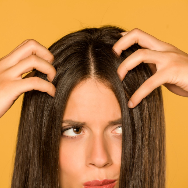 Get Rid of Hair Split Ends Treatment & Trimming Remedy at Home Urdu Hindi -  YouTube