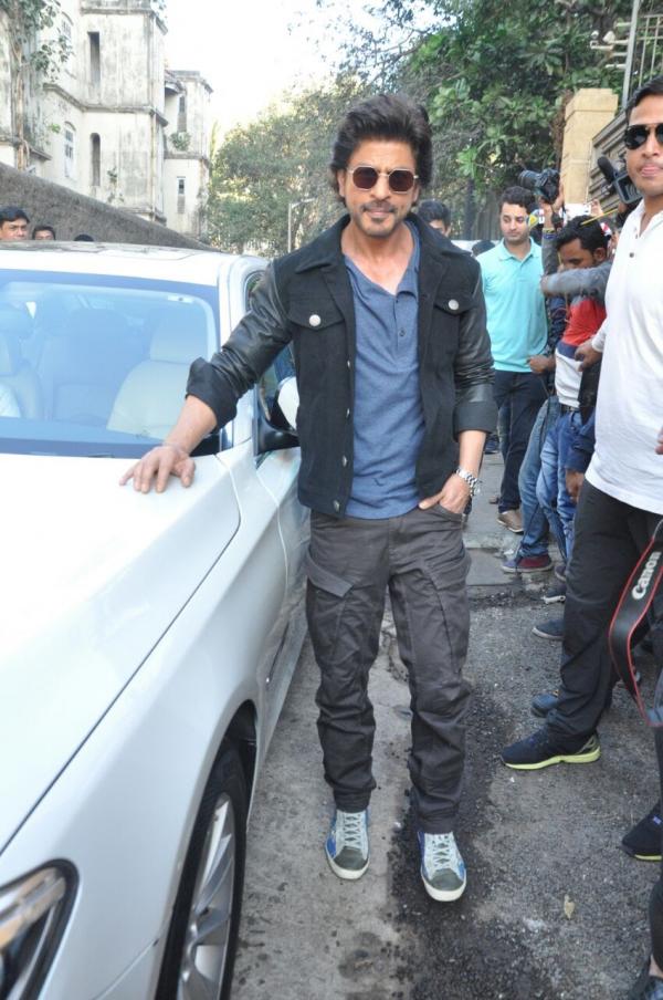 Srk cargo pants sale