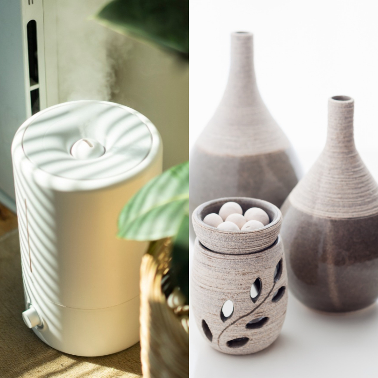 Humidifier vs Diffuser What is the difference between the two? PINKVILLA