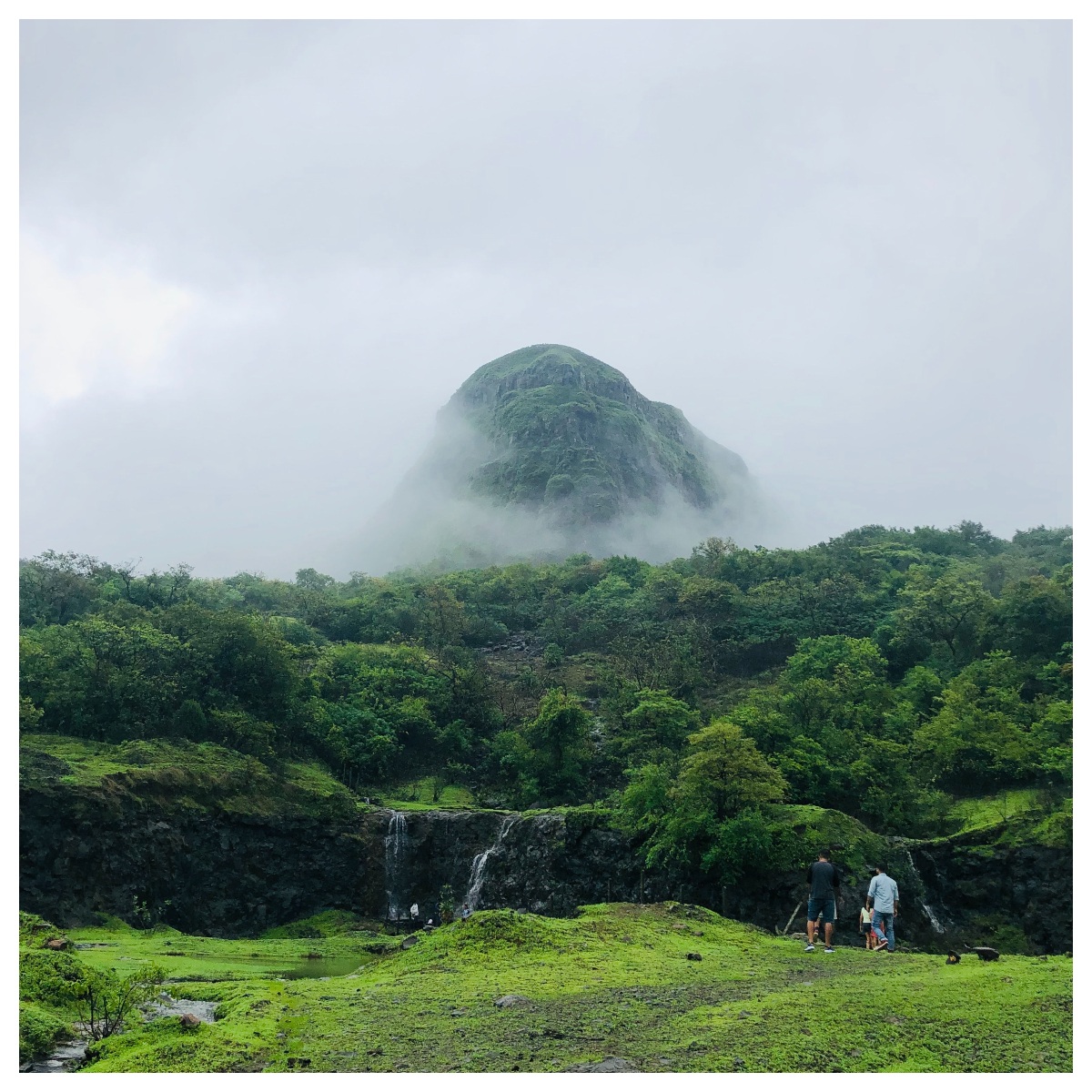 4 Amazing places to visit in Kotagiri Kotagiri