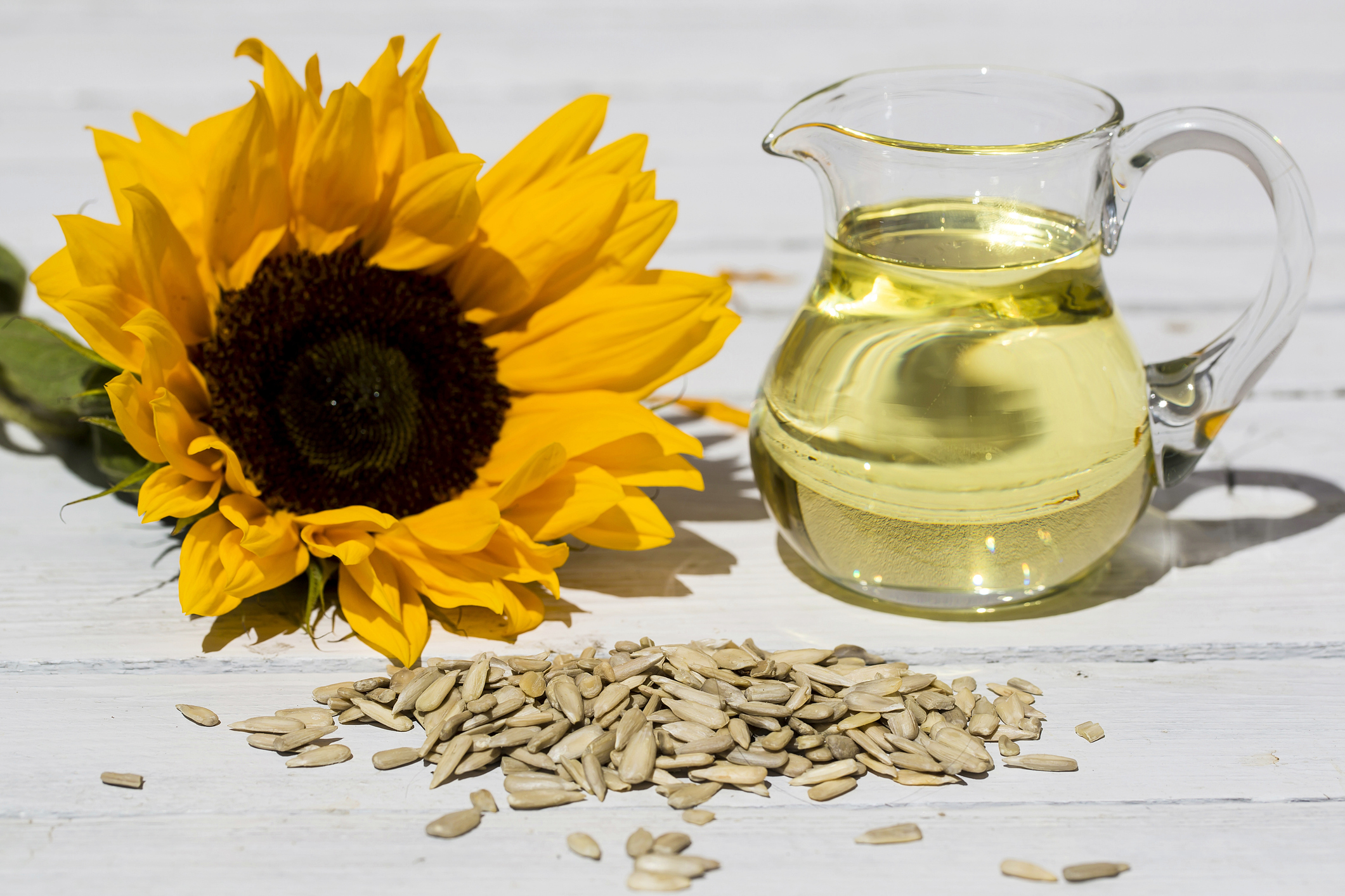 Buy Sunflower Seeds Online at Best Price in Pakistan - ChiltanPure