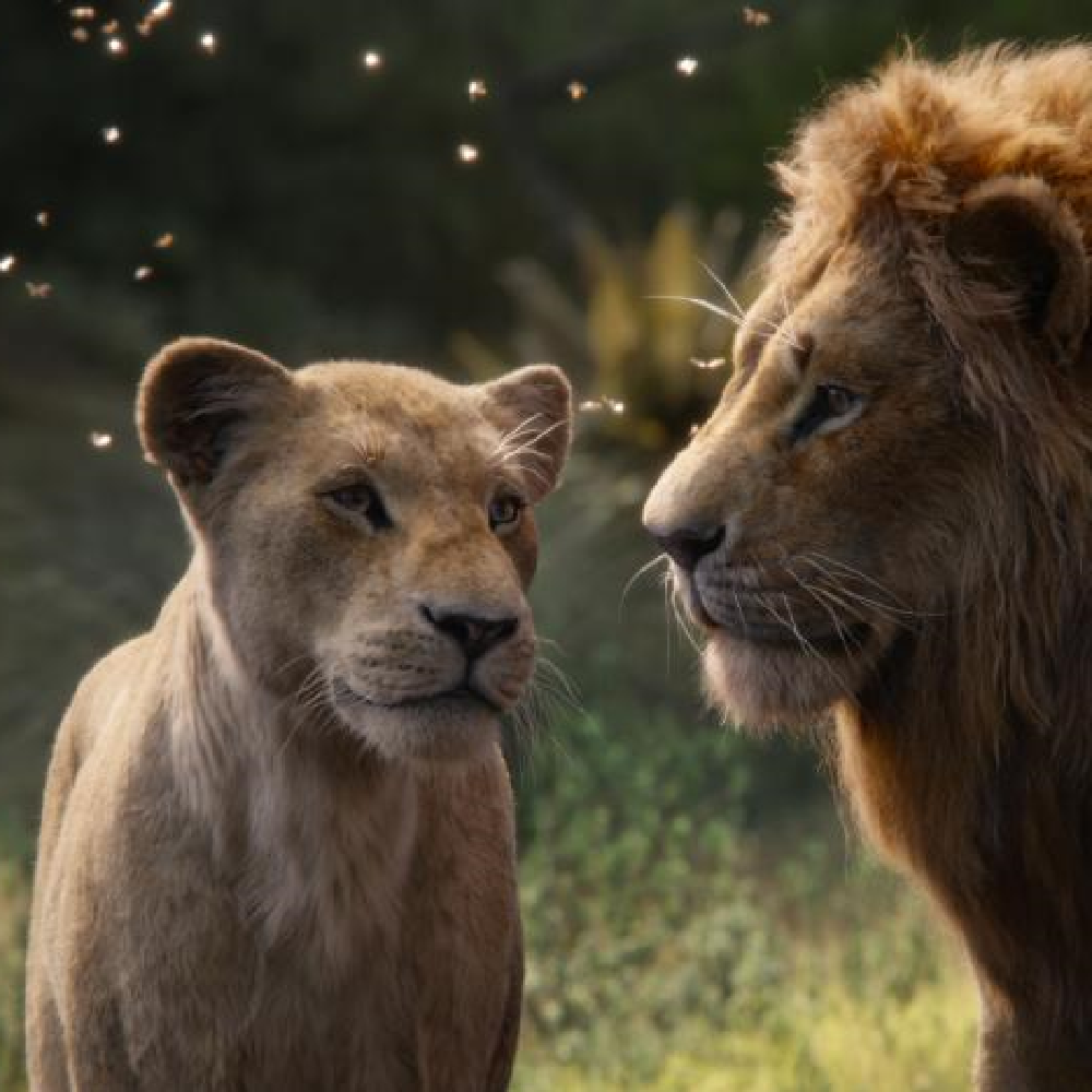 The Lion King Box Office Collection India Day 21: Disney's film minted THIS amount in its third week