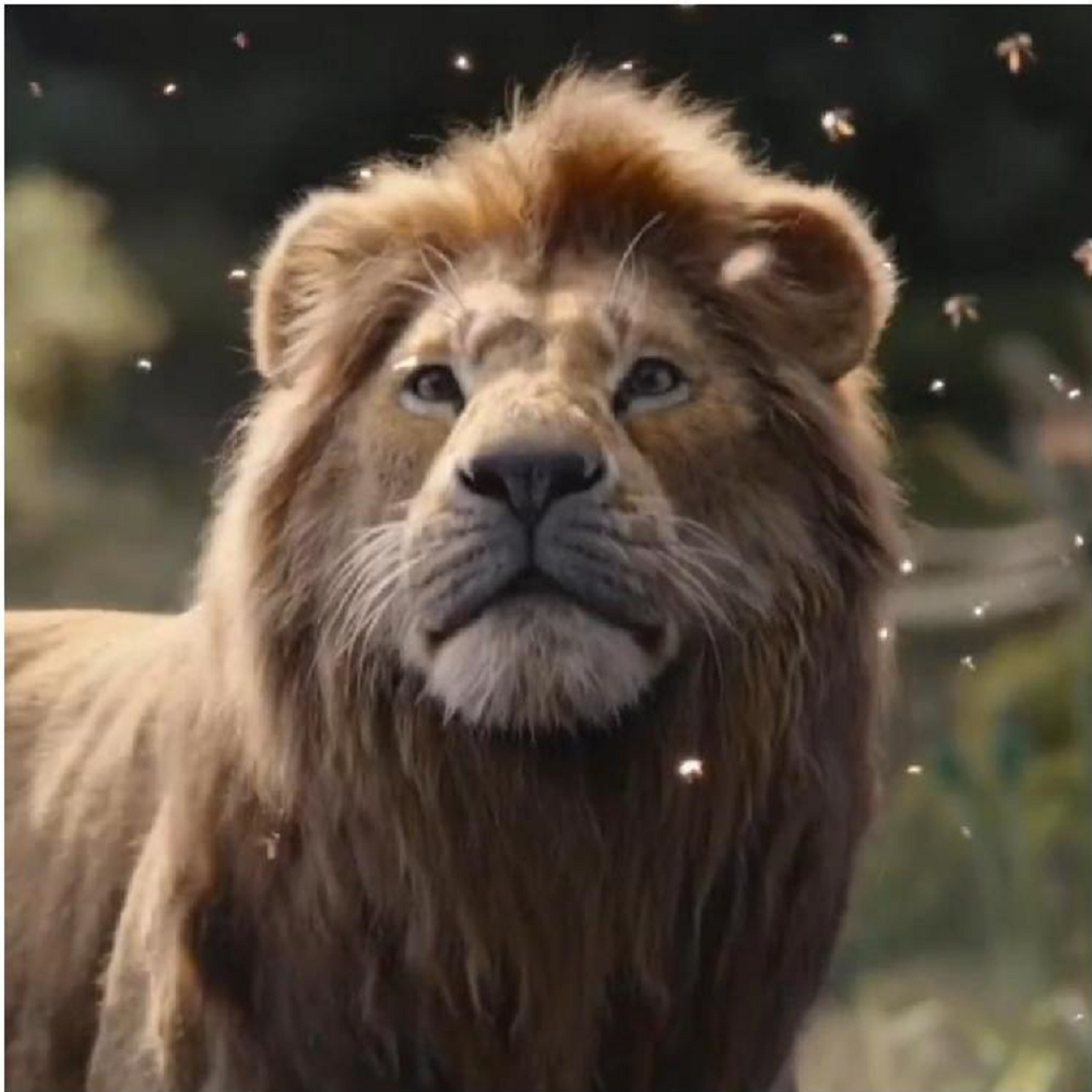 The Lion King Box Office Collection India Day 17: Disney's film records growth on third weekend