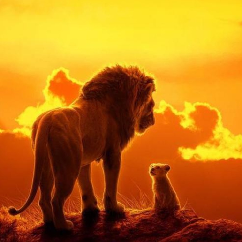 The Lion King is heading for an excellent second week of Rs 44 crore nett which will be fourth best of the year. The Lion King is heading for an excellent second week of Rs 44 crore nett which will be fourth best of the year.