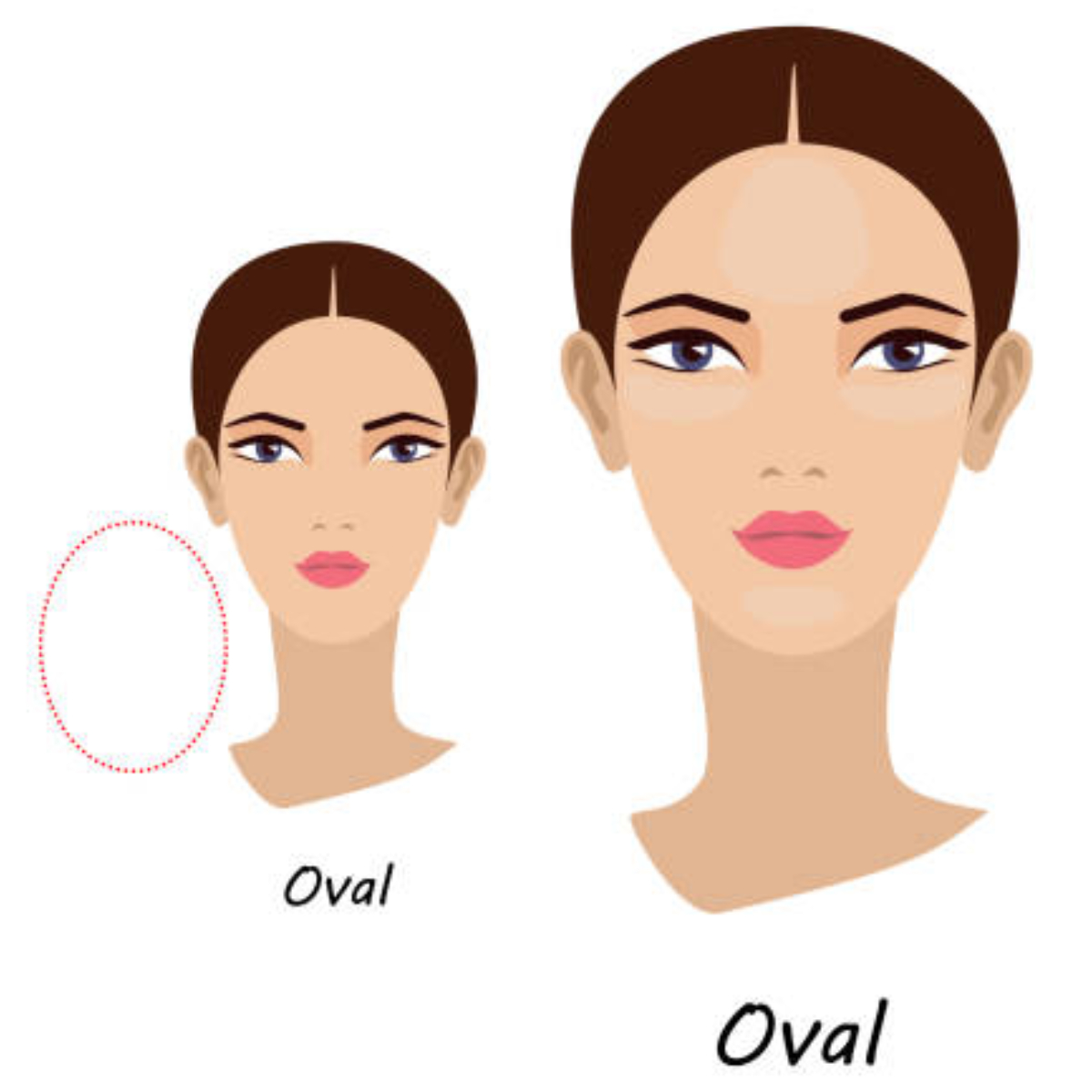 Premium Vector | Female face shapes and haircuts