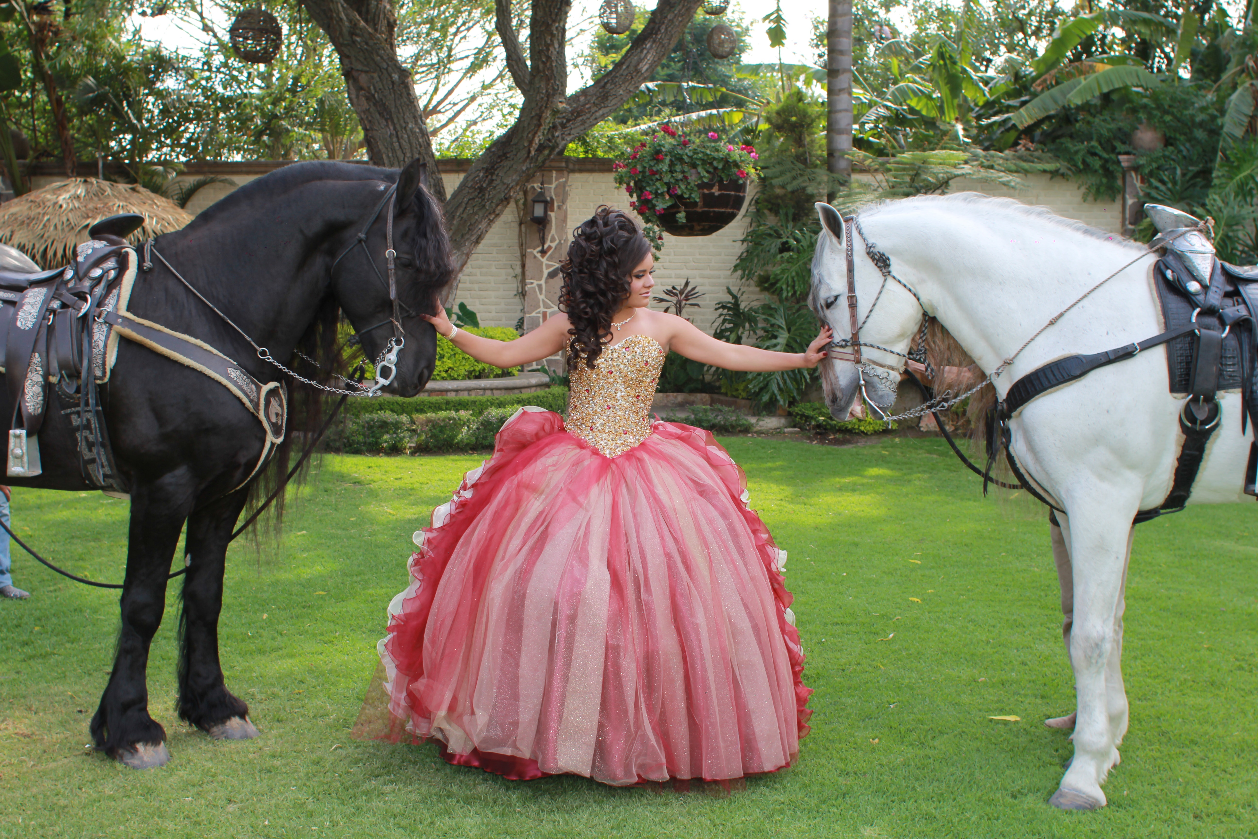 Princess Silhouette Dress