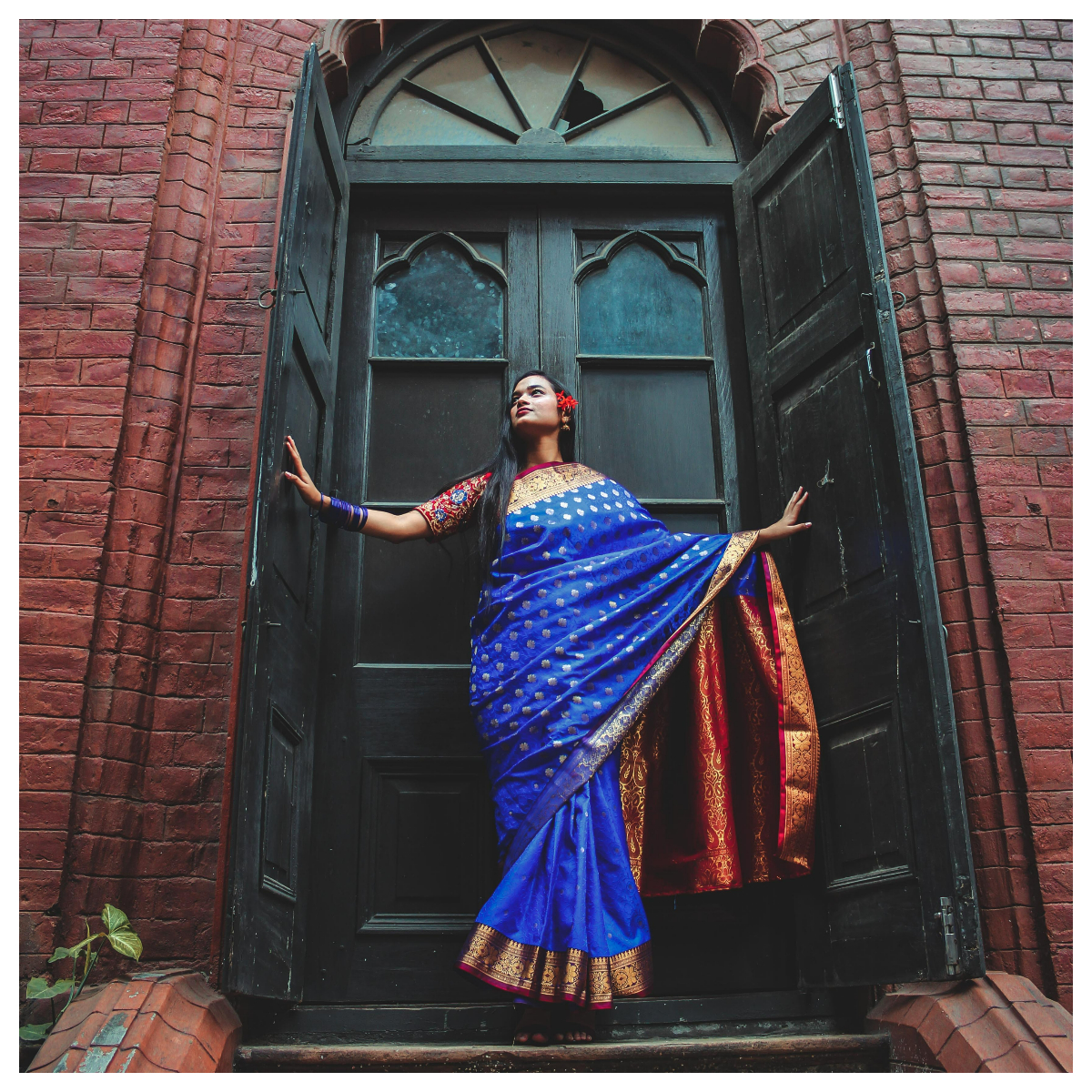 Best simple saree quotes and captions
